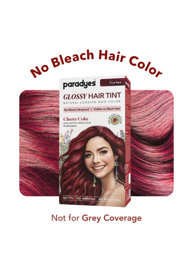 Paradyes No Bleach Cherry Coke Glossy Hair Tint, Ammonia-Free Formula for Natural Black Hair, Visible on Natural Black Hair, Includes Anti-Fade Conditioner for Long-Lasting Shine, 6.6 True Red - Image 2