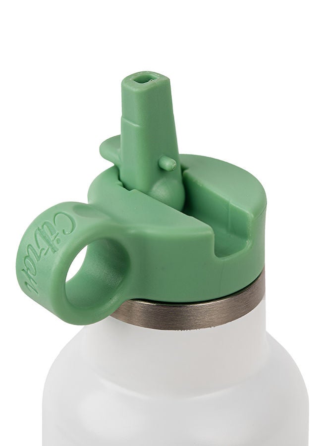 NIBEMINENT Dino Print Stainless Steel Water Bottle, 250Ml - Green - Image 3