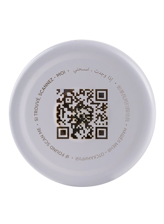 NIBEMINENT Dino Print Stainless Steel Water Bottle, 250Ml - Green - Image 4