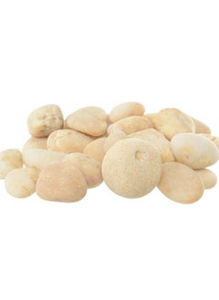 ماركة غير محددة نباتات البستنة الكبيرة المحفوظة بوعاء للنباتات ، ديكور المنزل DIY ، حصى الحوض ، حشوات المزهريات ، حديقة الجنيات ، أحجار المناظر الطبيعية الخارجية 1 عبوة (700 جم) ديكور خارجي - طبيعي 
