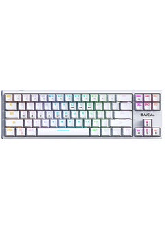 BAJEAL K71 Wired Mechanical Keyboard 71 Keys Gaming Keyboard with RGB ...