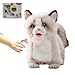 CU-MATE Electronic Interactive Ragdoll Cat  Realistic Handmade Toy with Walking Barking Wagging Tail  Talking  Robotic Pet Toy for Toddler Kids - Image 4