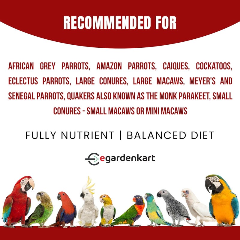 Egardenkart خليط طعام الببغاء من Egardenkart® - 10 كجم | طعام ببغاء مع مزيج فواكه | طعام طيور للببغاء | خليط بذور طيور متكامل غذائياً | علف طيور للماكاو، الكوكاتو وجميع الببغاوات (10 كجم) - Image 5
