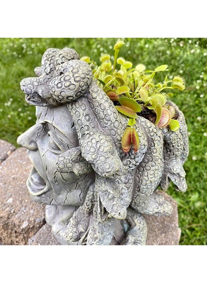 Darware Resin Medusa Head Planter, Large Garden Decor Statue Flower Pot - Image 4