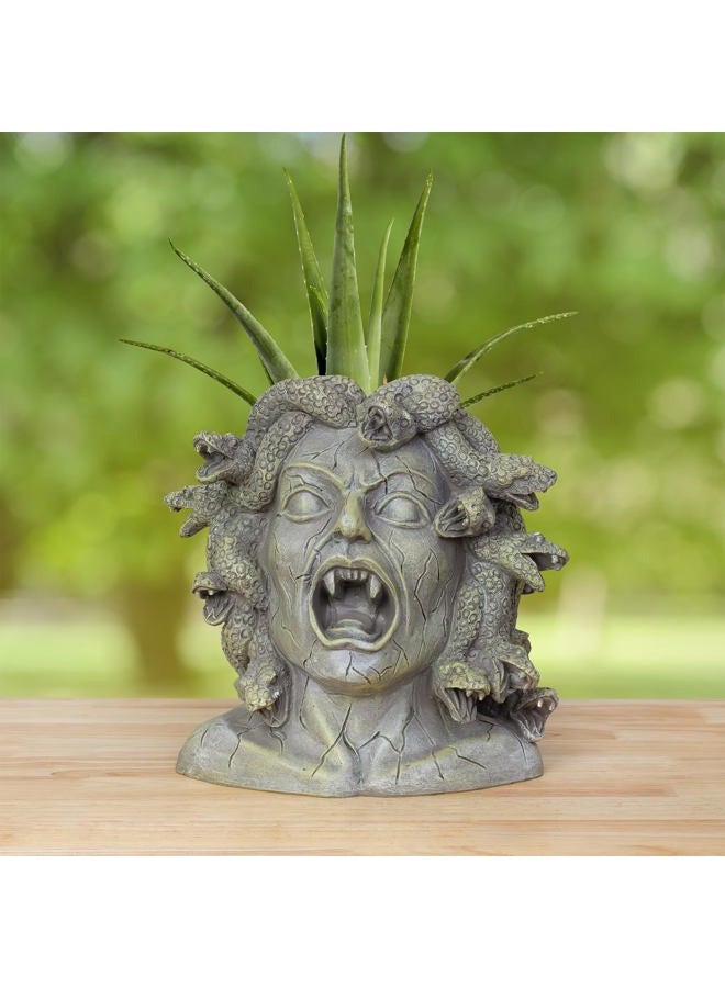 Darware Resin Medusa Head Planter, Large Garden Decor Statue Flower Pot - Image 2