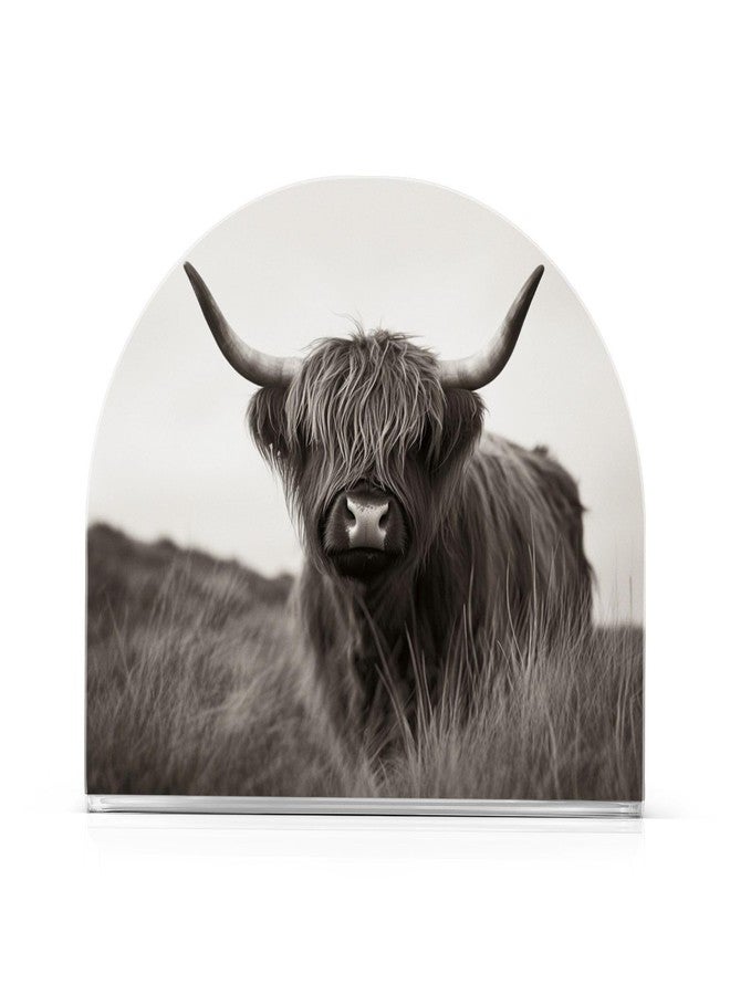 Fustylead Farmhouse Highland Cow Napkin Holder for Table Cow Animal Printed Acrylic Cocktail Napkin Holder Small Decorative Rustic Cottage Napkin Dispenser for Home Party Dining Kitchen Accessories - Image 1