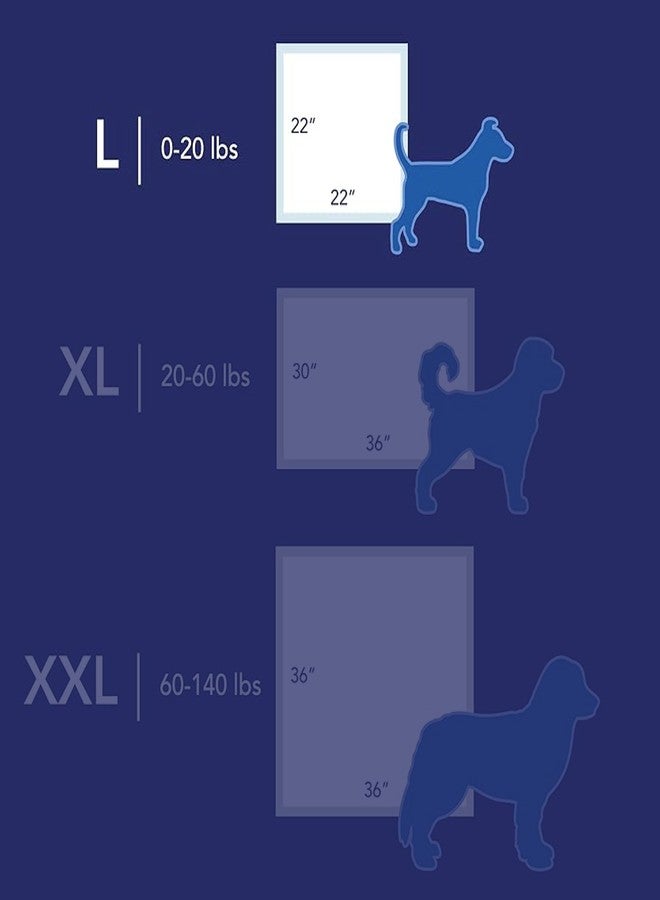 سكوت وسادات سكوت بيت جارد لتدريب الكلاب - وسادات تدريب التبول للجراء والكلاب المتوسطة والكبيرة - امتصاص يصل إلى 12 ساعة للتحكم في الروائح - وسادات تبول سهلة الاستخدام - مقاس كبير - 22 بوصة × 22 بوصة - عبوة من 50 قطعة - Image 2