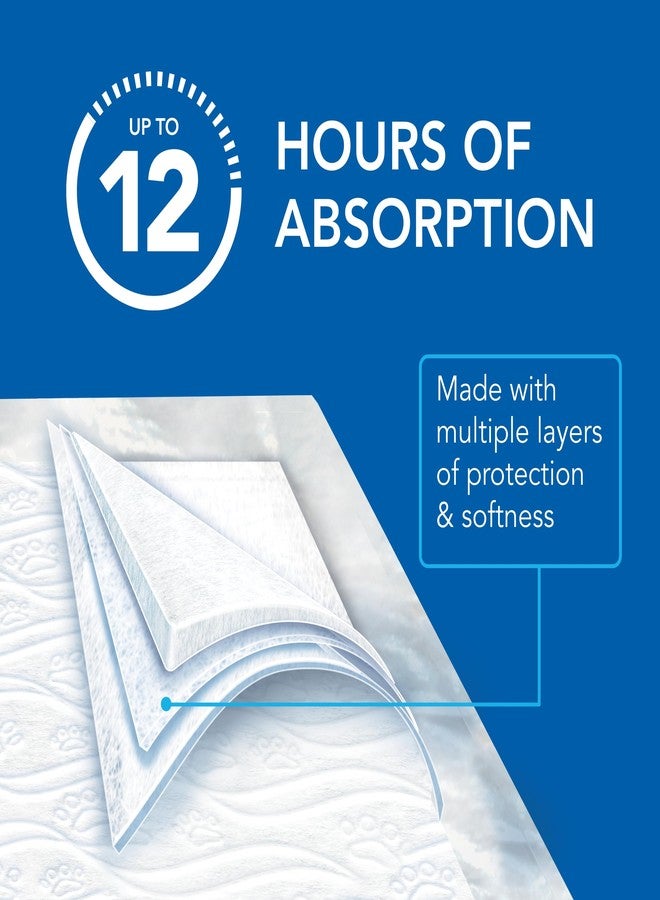 سكوت وسادات سكوت بيت جارد لتدريب الكلاب - وسادات تدريب التبول للجراء والكلاب المتوسطة والكبيرة - امتصاص يصل إلى 12 ساعة للتحكم في الروائح - وسادات تبول سهلة الاستخدام - مقاس كبير - 22 بوصة × 22 بوصة - عبوة من 50 قطعة - Image 3