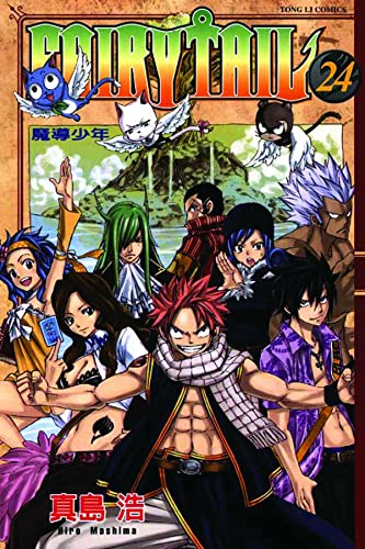 Fairy Tail 24