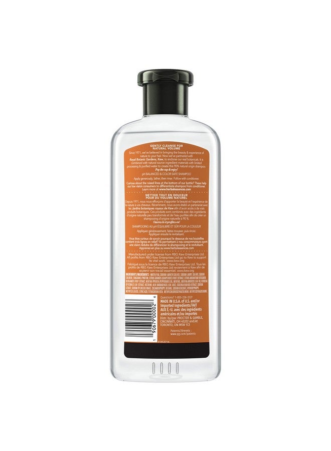 Herbal Essences Bio:Renew White Grapefruit & Mosa Mint Naked Volume Shampoo 13.5 Fl Oz - Image 3