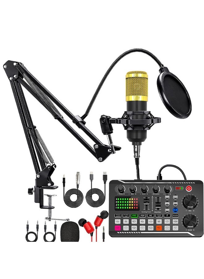 EBMINI New Professional Home KTV Singing Recording Home Karaoke Microphone