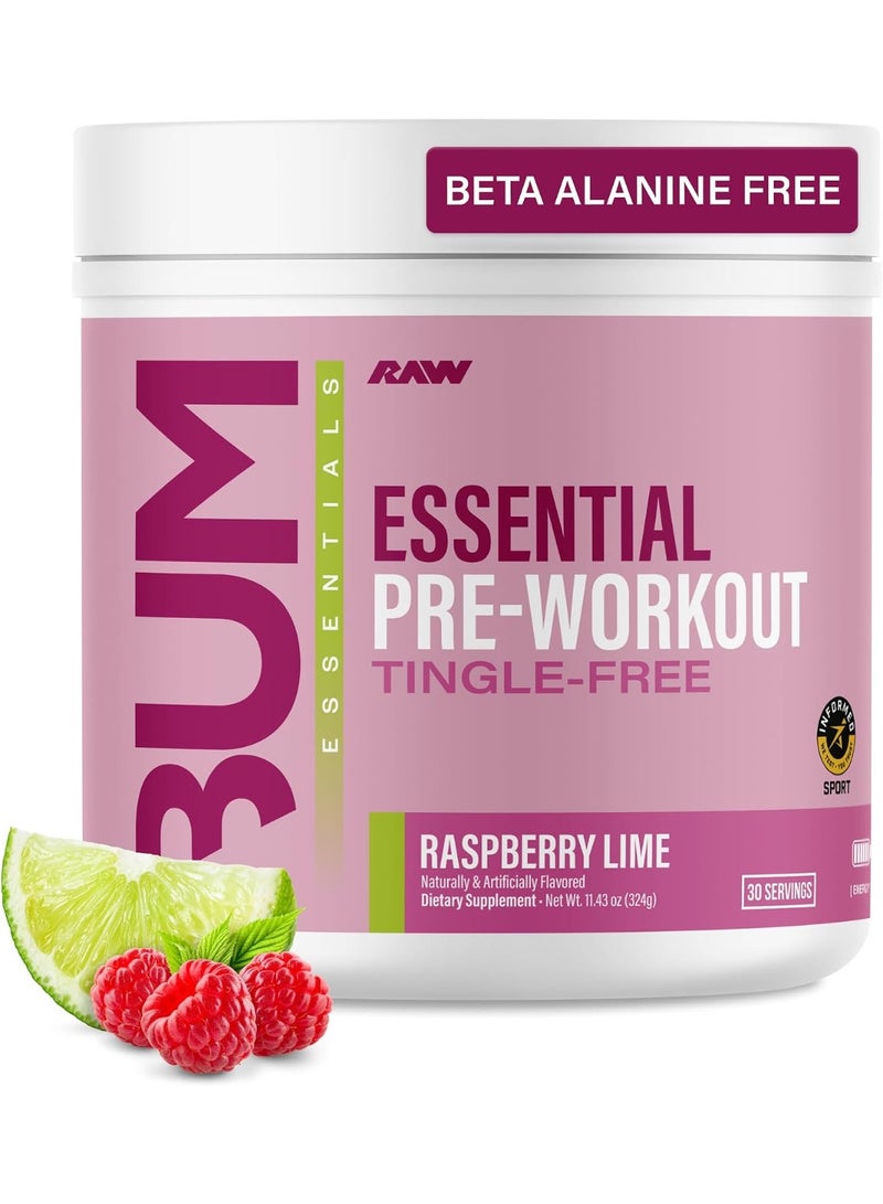 رو مسحوق التمرين الأساسي من Raw Nutrition CBUM - توت العليق والليمون - 324 جرام (30 حصة) - Image 1