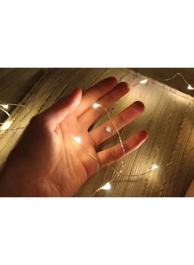 LED Decorative Lights