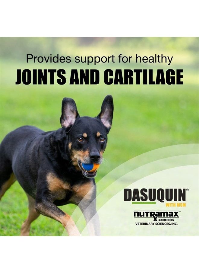 Nutramax Laboratories - Nutramax Dasuquin with MSM Joint Health Supplement for Large Dogs - With Glucosamine, MSM, Chondroitin, ASU, Boswellia Serrata Extract, and Green Tea Extract, 150 Soft Chews - Image 1