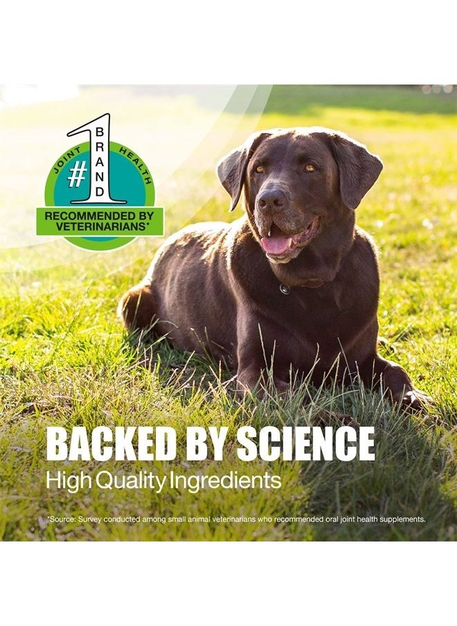 Nutramax Laboratories - Nutramax Dasuquin with MSM Joint Health Supplement for Large Dogs - With Glucosamine, MSM, Chondroitin, ASU, Boswellia Serrata Extract, and Green Tea Extract, 150 Soft Chews - Image 1