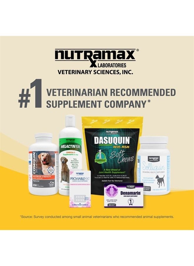 Nutramax Laboratories - Nutramax Dasuquin with MSM Joint Health Supplement for Large Dogs - With Glucosamine, MSM, Chondroitin, ASU, Boswellia Serrata Extract, and Green Tea Extract, 150 Soft Chews - Image 1