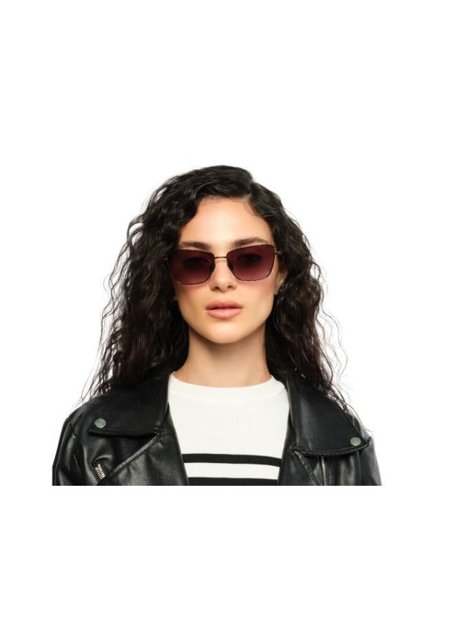 30 سندايز أيام دانيكا - Image 4