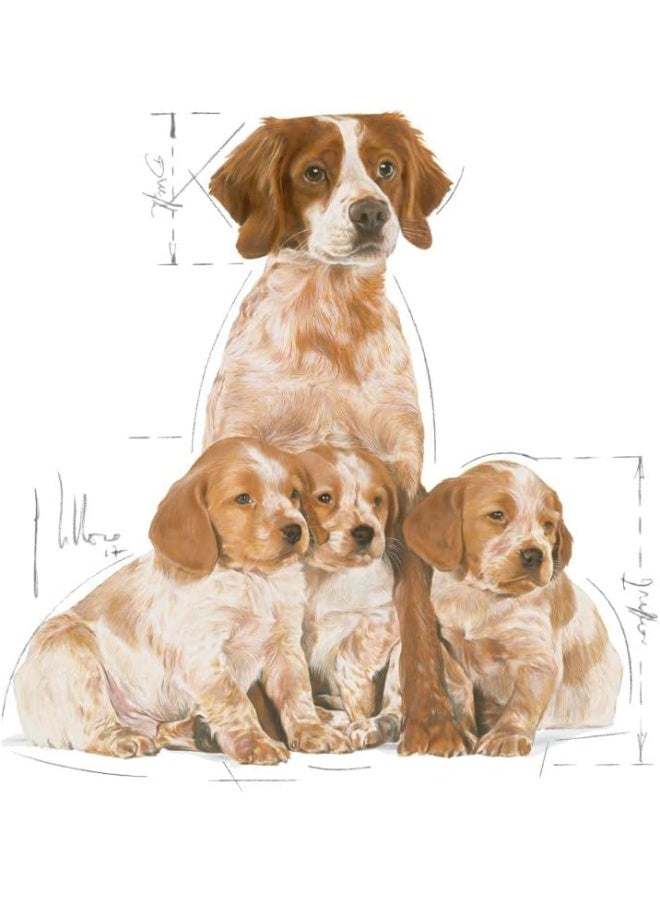 Royal Canin MEDIUM STARTER Mother&Baby 4 KG - Image 2