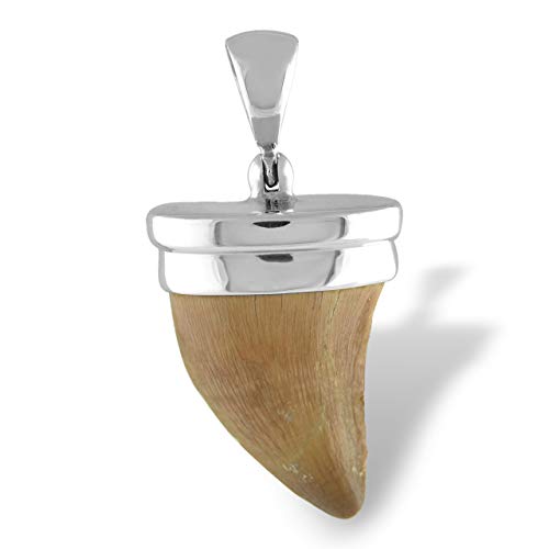 Starborn Fossil Mosasaurus Tooth Pendant in Sterling Silver - Image 1