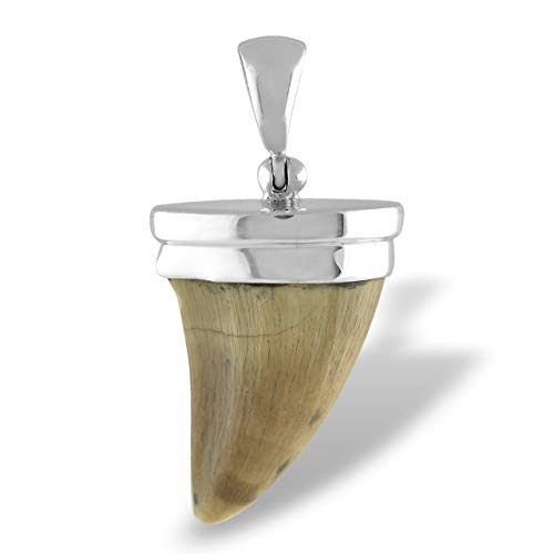 Starborn Fossil Mosasaurus Tooth Pendant in Sterling Silver - Image 4