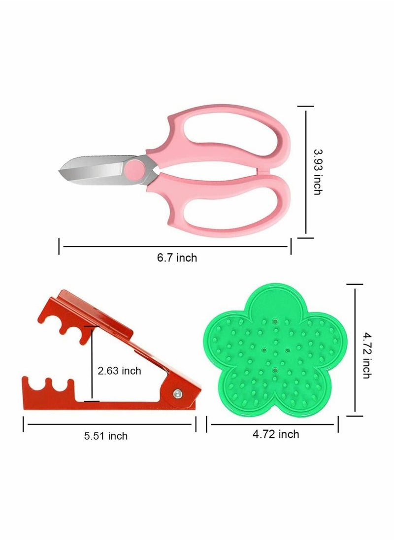 4PCS Garden Pruning Shears Scissors Kit, Professional Rose Thorn Remover, Tree Pruner Hand Tools Kit, Cordless Trimmer and Floral Gloves for Gardening Flower Arrangement - pzsku/Z0E6F2787379C4764CDB9Z/45/_/1670222158/418ba459-f7b3-4d3a-90b9-711a3ffa32c5