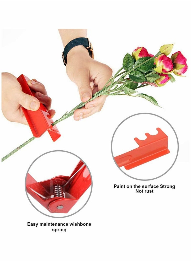 4PCS Garden Pruning Shears Scissors Kit, Professional Rose Thorn Remover, Tree Pruner Hand Tools Kit, Cordless Trimmer and Floral Gloves for Gardening Flower Arrangement - pzsku/Z0E6F2787379C4764CDB9Z/45/_/1670222158/6ff9c52e-464f-4476-974e-b69ffd06e5d2