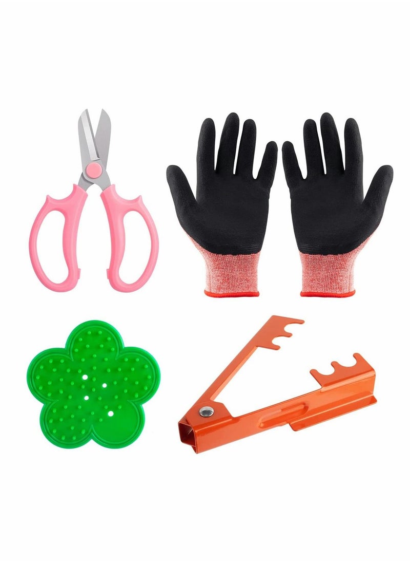 4PCS Garden Pruning Shears Scissors Kit, Professional Rose Thorn Remover, Tree Pruner Hand Tools Kit, Cordless Trimmer and Floral Gloves for Gardening Flower Arrangement - pzsku/Z0E6F2787379C4764CDB9Z/45/_/1670222158/a1545728-0d0f-41d0-b740-8f0f5b10a99b