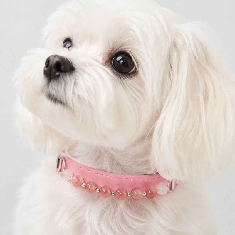 Hot-Selling Multi-Color Crystal Pet Collar - DIY Princess Style Necklace for Cats