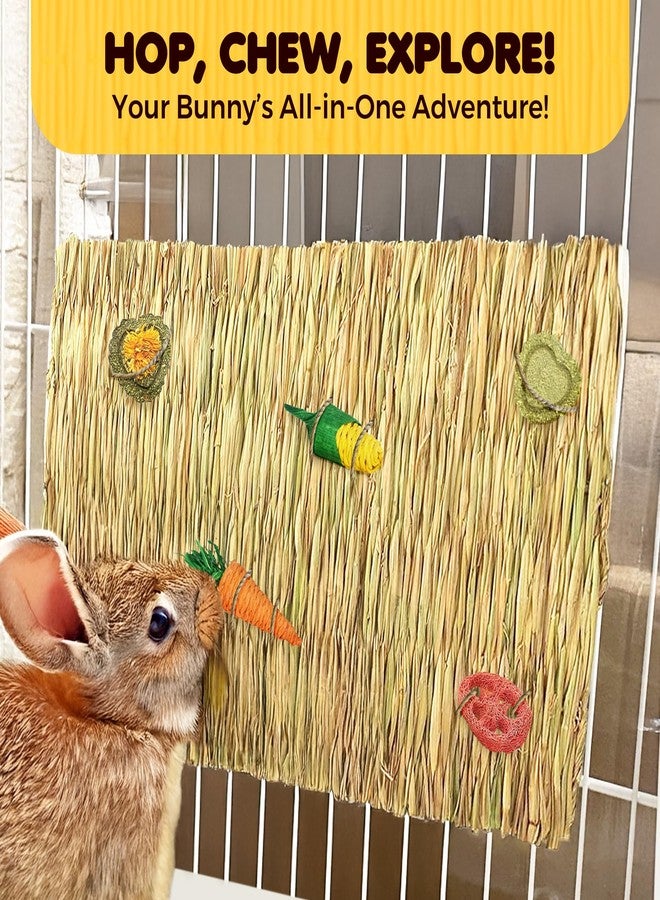 SunGrow Rabbit, Leopard Gecko & Guinea Pig Grass Chew Mat, Hay Bedding, Zip tie to Wire Cage Provide Insulation Cold Weather, Cover Ugly Wire on Cage, DIY Small Pet Runways, Huts - Image 5