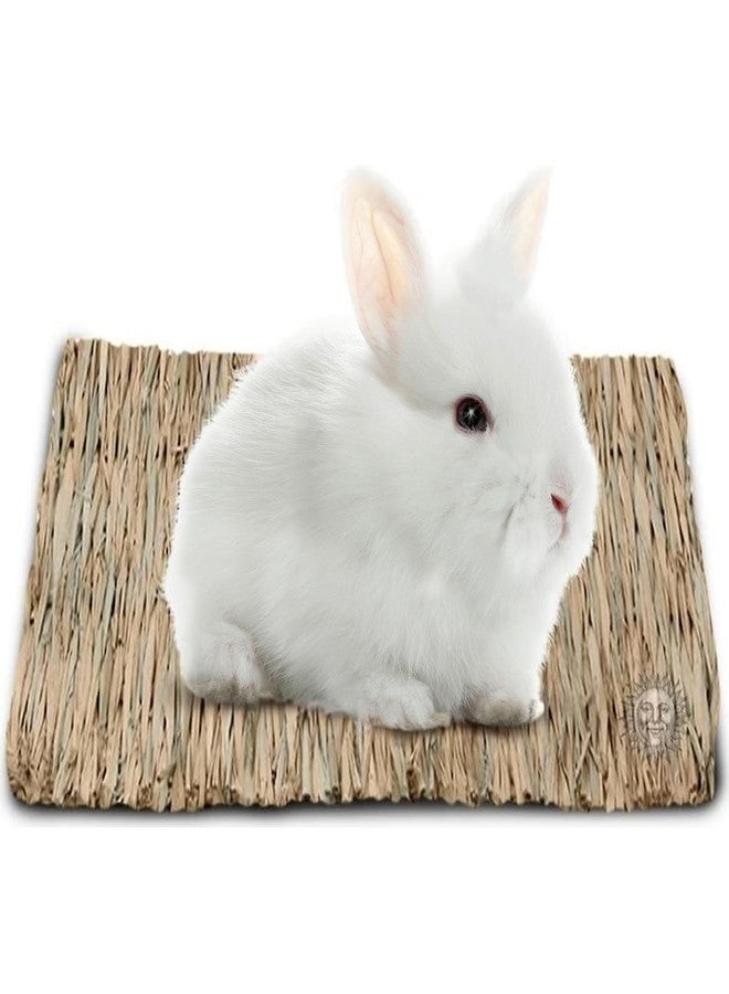 SunGrow Rabbit, Leopard Gecko & Guinea Pig Grass Chew Mat, Hay Bedding, Zip tie to Wire Cage Provide Insulation Cold Weather, Cover Ugly Wire on Cage, DIY Small Pet Runways, Huts - Image 1