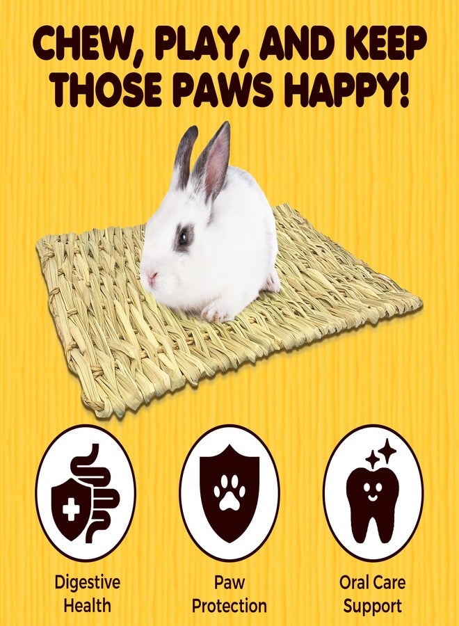 SunGrow Rabbit, Leopard Gecko & Guinea Pig Grass Chew Mat, Hay Bedding, Zip tie to Wire Cage Provide Insulation Cold Weather, Cover Ugly Wire on Cage, DIY Small Pet Runways, Huts - Image 3