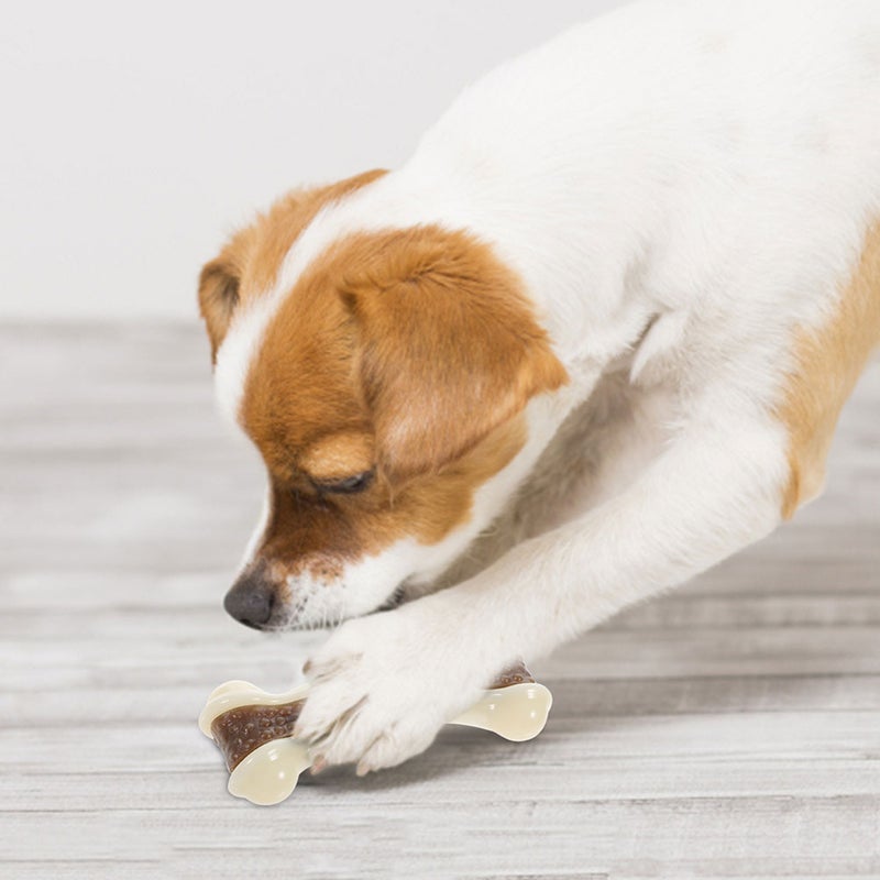 2pcs Dog Chew Toy Dog Biting Bone Shape Toy Dog Teeth Cleaning Toy Bite Resistant Toy - Image 3