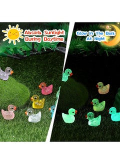 JIUZHU 225Pcs Mini Ducks Glow In The Dark Ducks Mini Resin Ducks Luminous Tiny Ducks To Hide And Seek Pranks Micro Garden Landscape Aquarium Diy Decoration Craft (15 Colors)  - Image 4