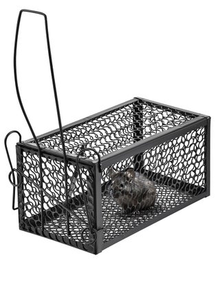 Mouse and Rat Cage Trap-Black-Reusable Safe for Pets and Children Humane Rodent Control with Steel Construction and Quick-Release Mechanism Pest Management Trap for Home Indoor and Outdoor Use - pzsku/Z0E7523771EB63CC534C5Z/45/_/1731477444/cabfb848-00c4-4d28-a805-5ca61c14b038