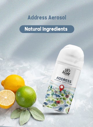 Dr Scent Breeze of Joy Premium Air Freshener Address Aerosol Spray (300ml) - view 4