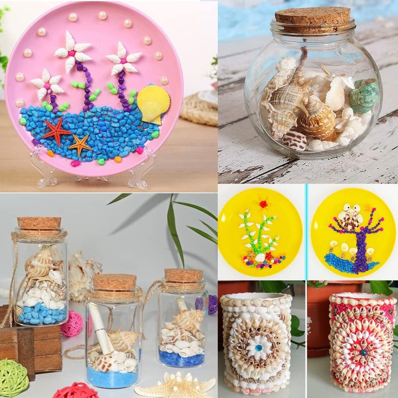 Miraclekoo (Mini) - 135 PCS Sea Shells Mixed Beach Seashells Starfish, Colourful Natural Seashells Perfect Accents for Candle Making,Home Decorations, Beach Theme Party Wedding Decor, Fish Tank and Vase Fillers - Image 5