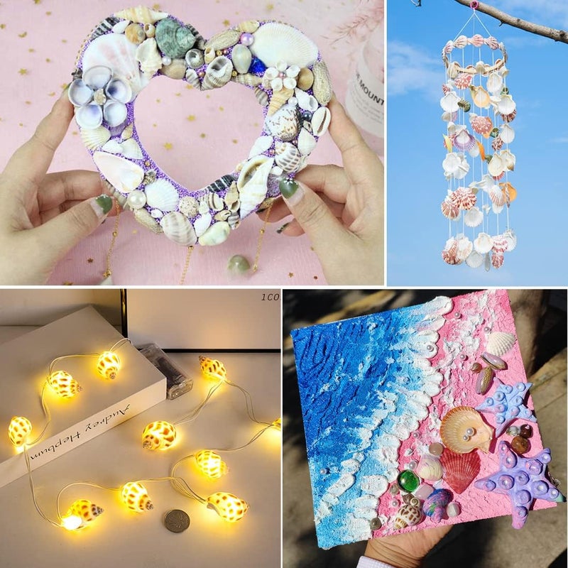 Miraclekoo (Mini) - 135 PCS Sea Shells Mixed Beach Seashells Starfish, Colourful Natural Seashells Perfect Accents for Candle Making,Home Decorations, Beach Theme Party Wedding Decor, Fish Tank and Vase Fillers - Image 4
