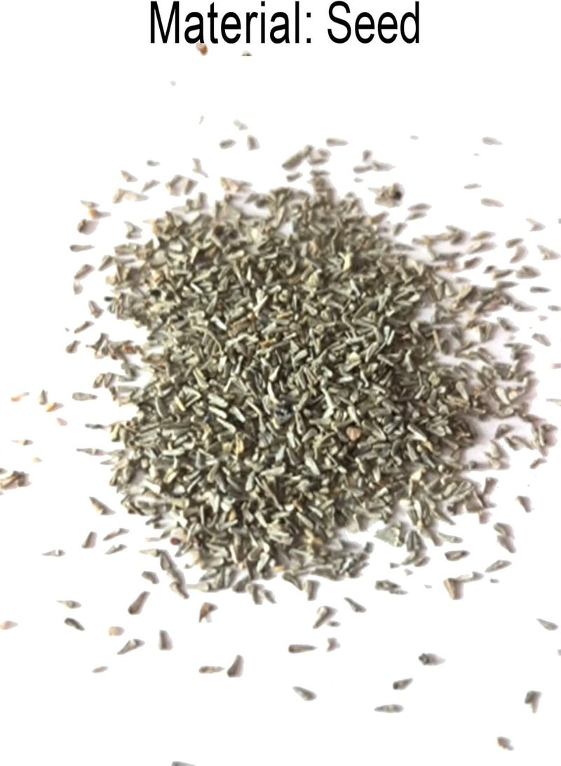 جي جوت كيس واحد من بذور زهرة الكليماتيس من Aesthetics DIY متعددة الألوان من بذور زهرة الروطان الملكة للشرفة باللون الوردي - Image 2