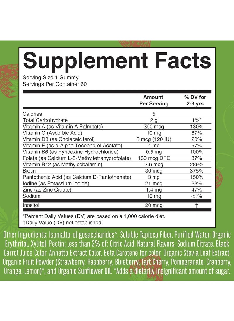 MaryRuth's - Toddler Multivitamin 60 Gummies - Image 1