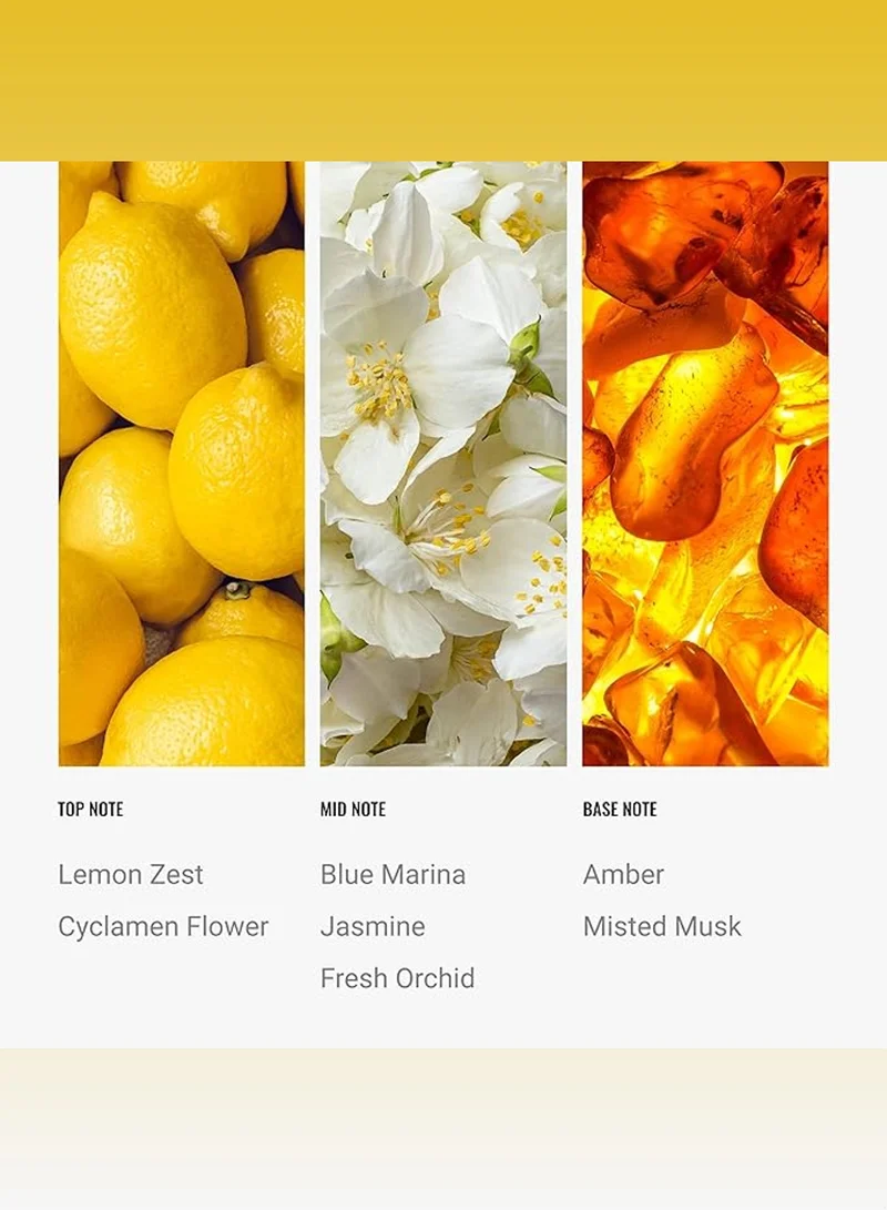 Hotel Collection Escape Fragrance Oil Blend - Hotel Inspired for Luxury Essential Oil Diffusers - Aromatherapy Scent Diffuser Oil - Citron, Bergamot, and Orange