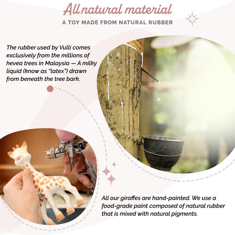 Sophie la girafe | Born in Paris | Natural Rubber | Designed for Teething Babies | Awaken All 5 Senses | Easy to Clean (616324) - Image 3