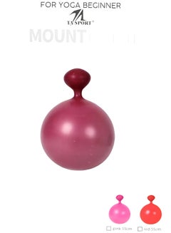 TA SPORT Gym Ball 65Cm  - Image 3