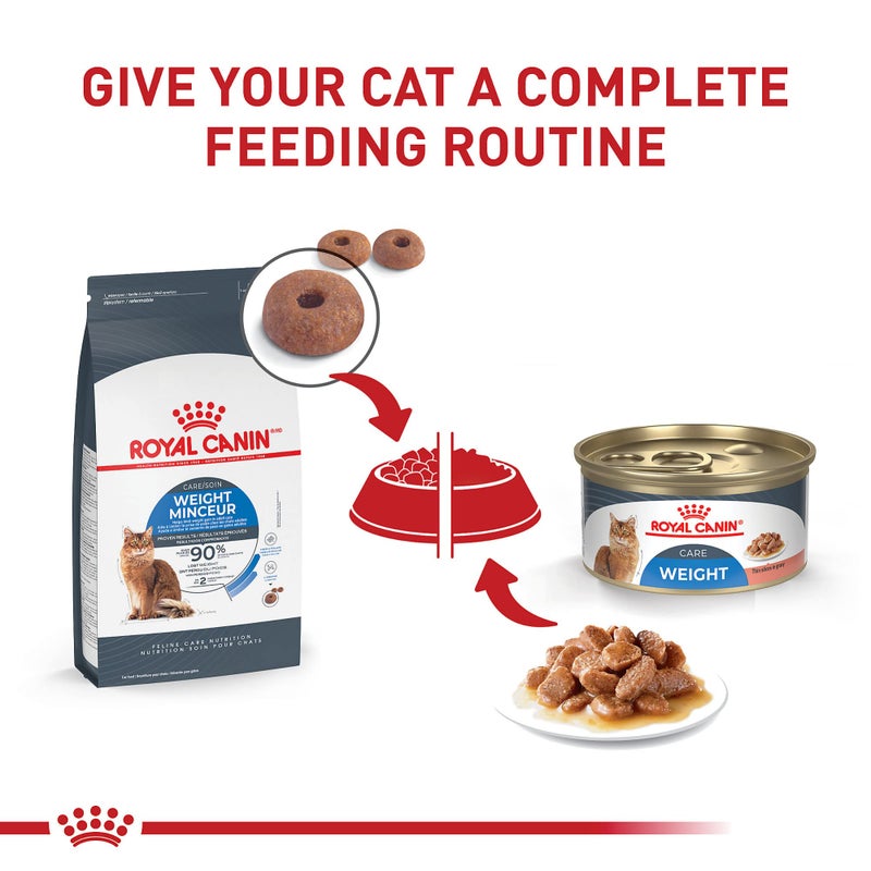 Royal Canin Feline Care Nutrition Weight Care Adult Thin Slices in Gravy Cat Food, 3 oz (Pack of 24) - Image 5