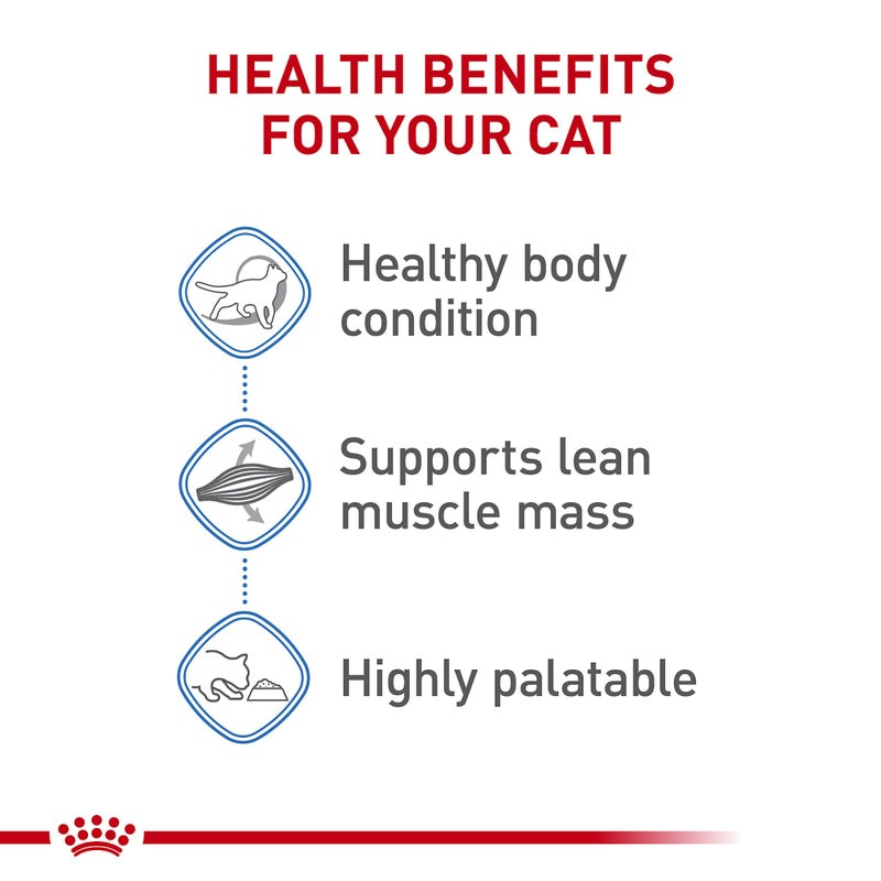 Royal Canin Feline Care Nutrition Weight Care Adult Thin Slices in Gravy Cat Food, 3 oz (Pack of 24) - Image 3