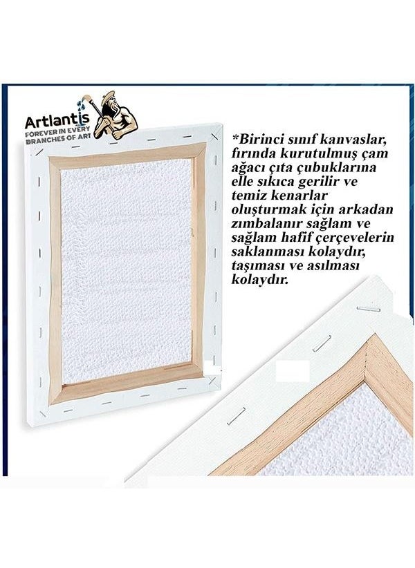 Canvas 50X70 Back Stapled Primed 1 Piece Painting Canvas 50*70 Student Canvas Ideal for Acrylic Paint and Oil Painting