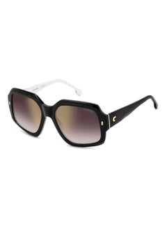 SQUARE CARRERA Sunglasses