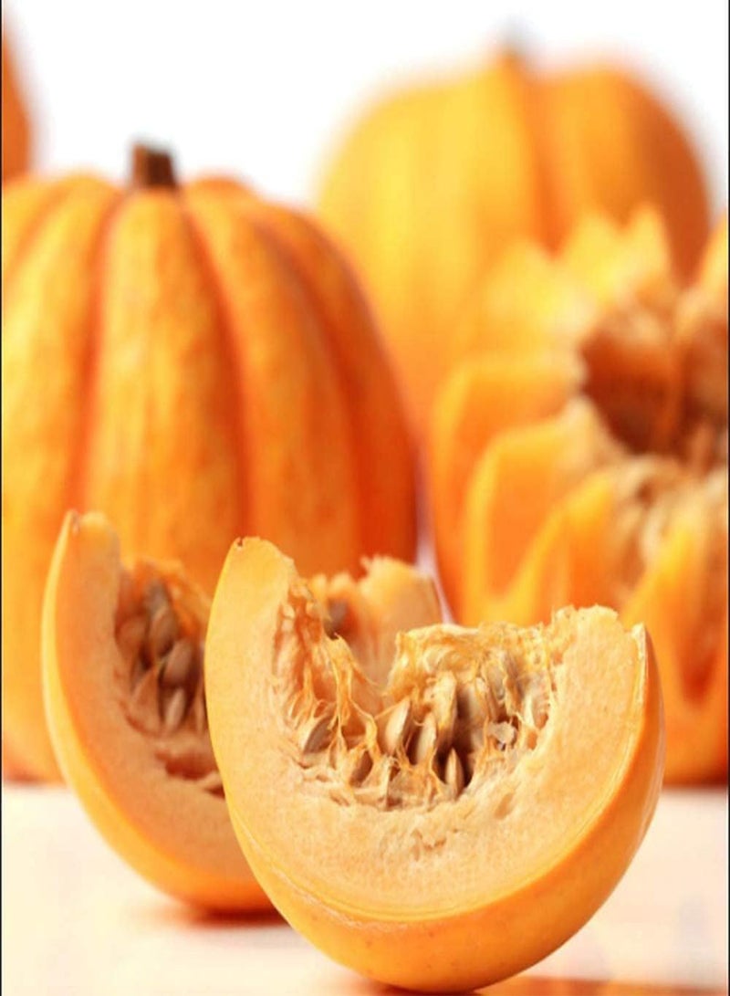 GGOOT 30Pcs Pumpkin Seeds Planting in Indoors Outdoors Golden Orange Smooth Skin Thickness Inside Orange-Yellow Annual Squash Enjoy Joy of Harvest - Image 2