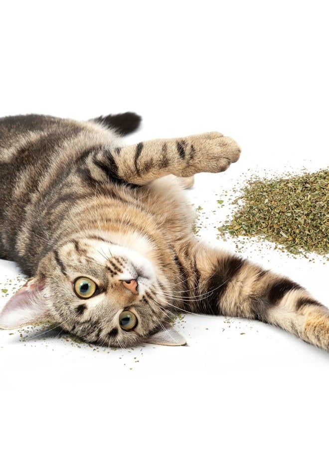 Petlinks Pure Bliss 100% Certified USDA Organic Catnip for Cats & Kittens, Pure & Potent Stimulant/Attractant, Resealable Pouch - 0.5 oz - Image 5