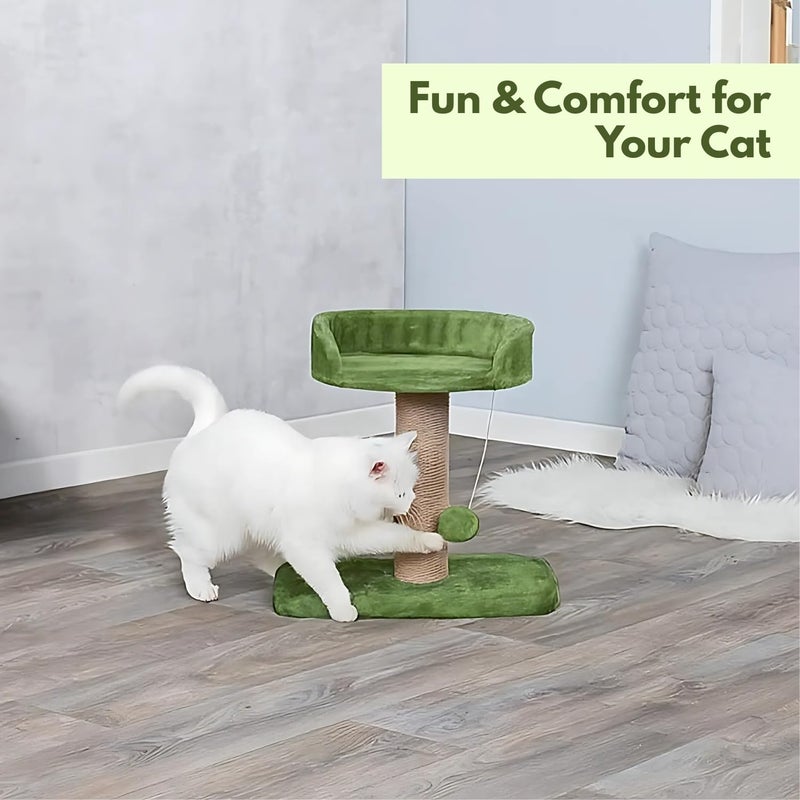 Catry , Cat Tree Hammock Bed with Natural Sisal Scratching Posts and Teasing Feather for Kitten (Green - 001) - Image 3