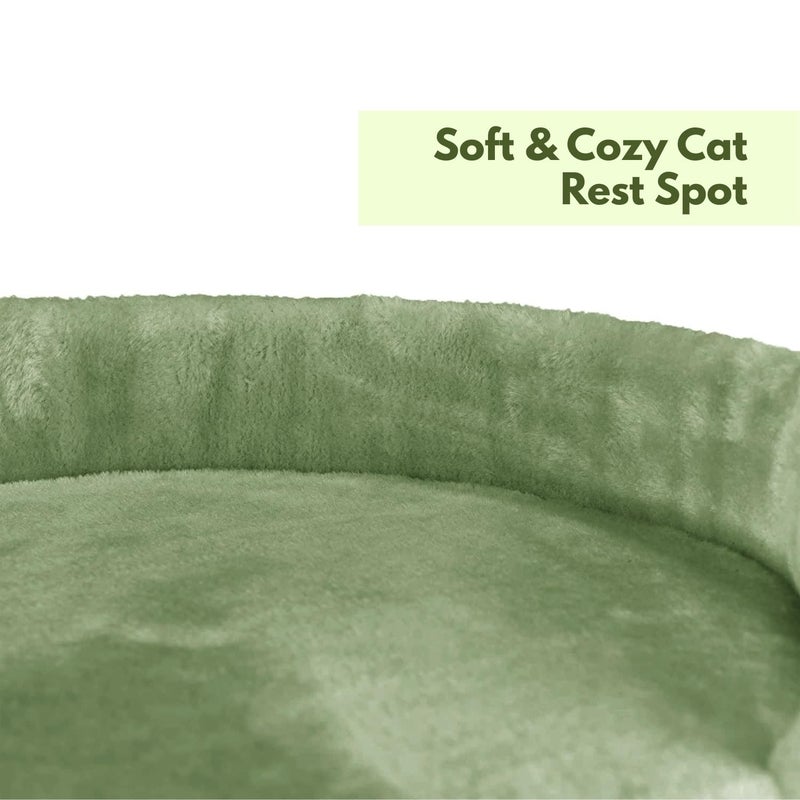 Catry , Cat Tree Hammock Bed with Natural Sisal Scratching Posts and Teasing Feather for Kitten (Green - 001) - Image 4